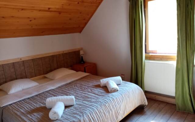 Pensiunea Poiana Cristian