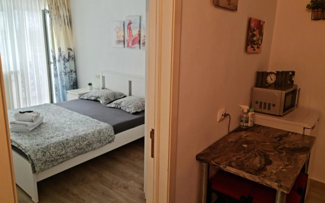 Apartament Viorela