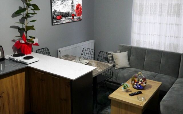 Dagkent Plus Suites Apartment