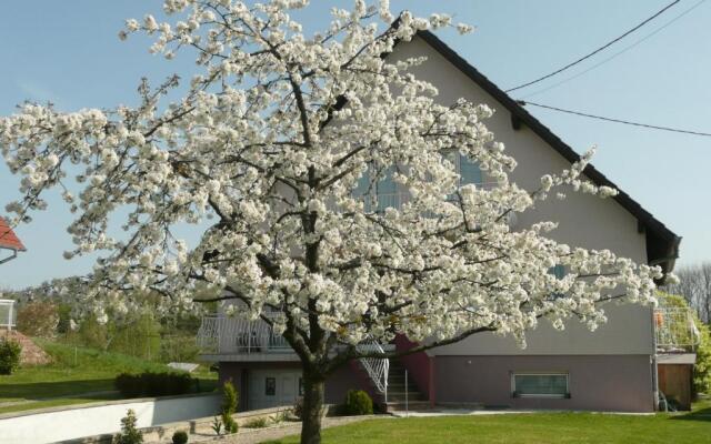 Chez Anny et Jean Au Mittelbuehl