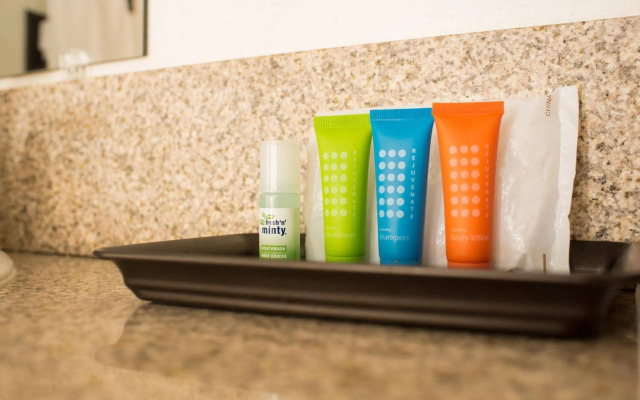 Yosemite Gold Country Lodge