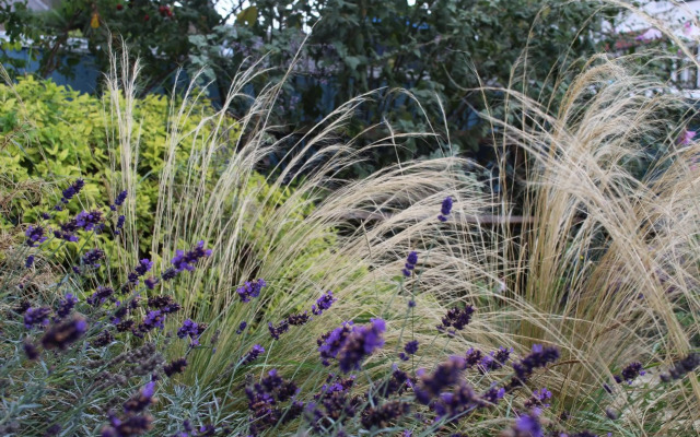 Sea Glimpses with free parking and garden