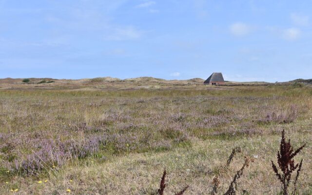 Luxurious Holiday Home in Texel With Terrace