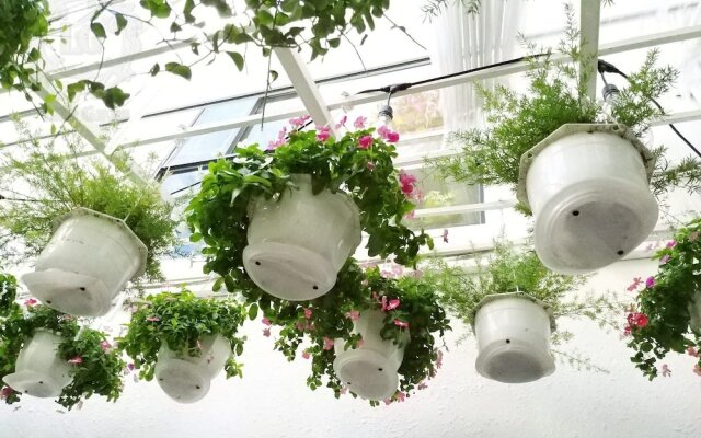 Little Garden Hostel