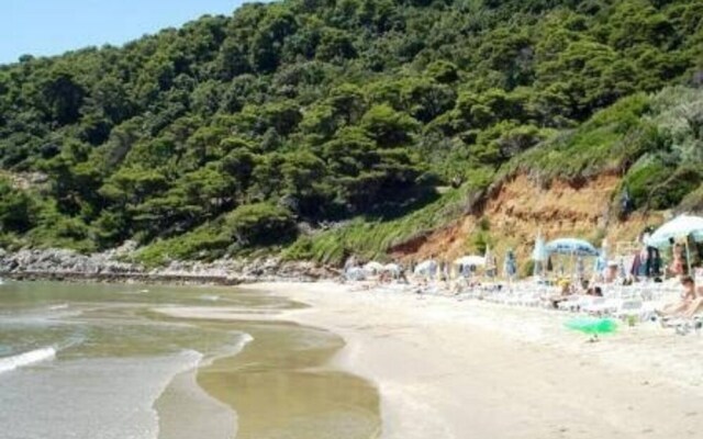 Beautiful Villa in Zadar, Pool, Garden Near Beach