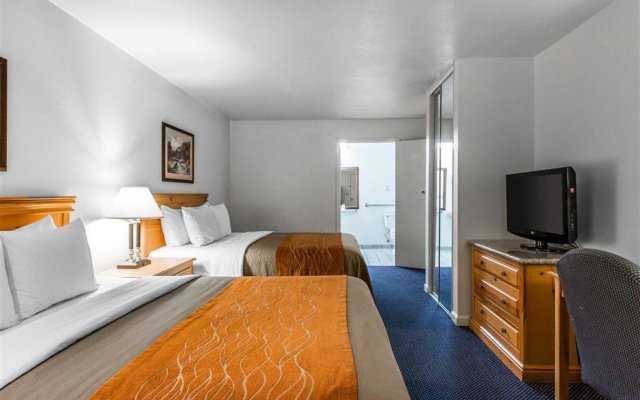 Comfort Inn & Suites Sequoia/Kings Canyon