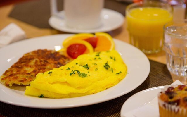 Hilton Garden Inn Rochester Downtown, MN