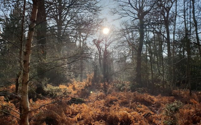 Town or Country - Imperial Apartments