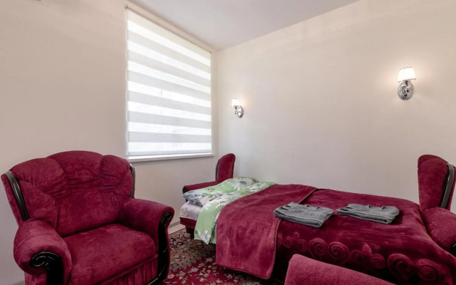 Basanavičiaus street apartaments with view No 1