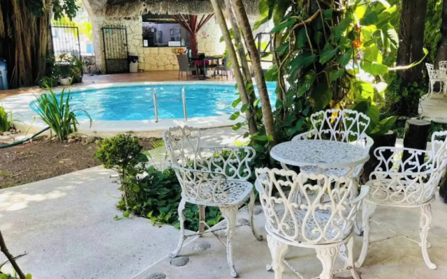 Mayan Art Hotel 10 Avenue