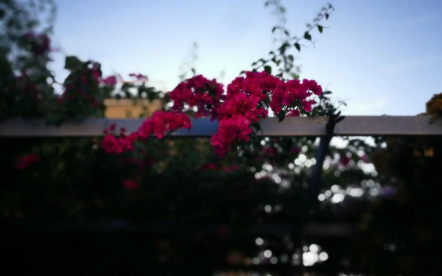 Hotel Santa Caterina