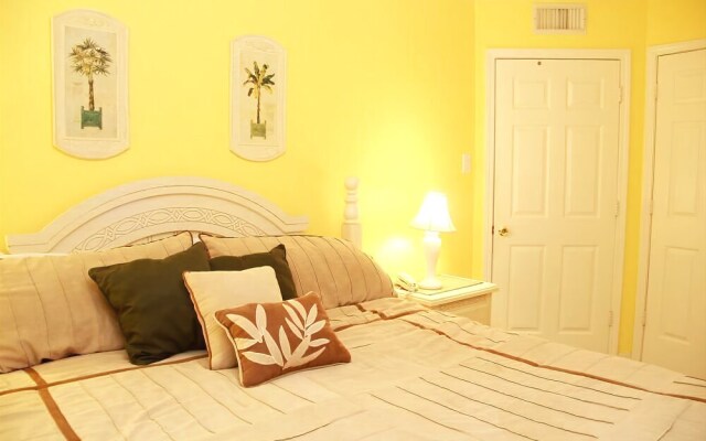 Royal Palms 806NS by RedAwning