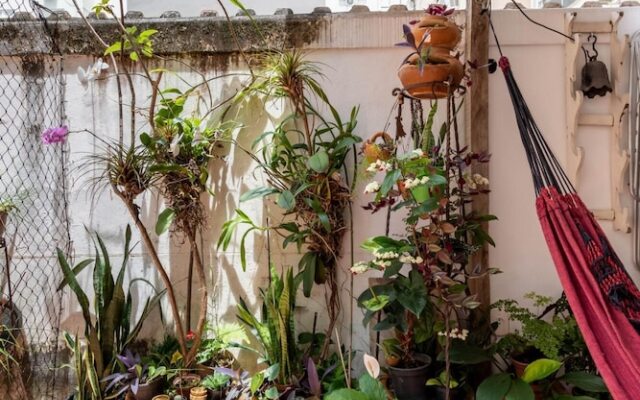 Vp101a Zona1 in Rio de Janeiro