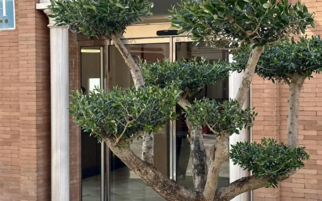 Hotel Nova Roma