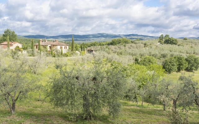 Bio Sun Organic Agritourism