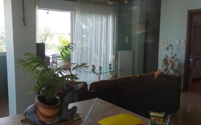Ulmus Suite