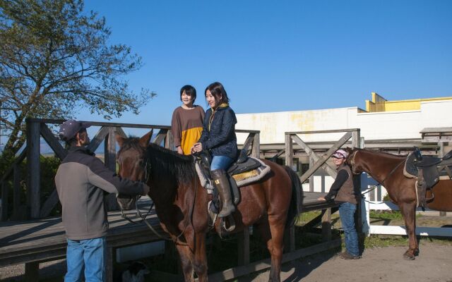 El Patio Ranch