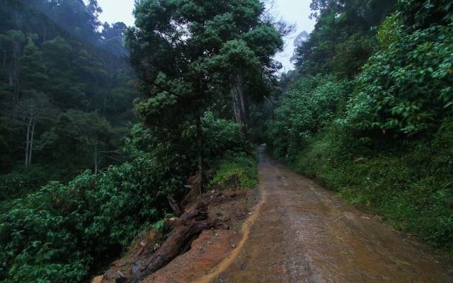 OYO 503 Forest View Rest