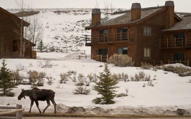 Spring Creek Ranch