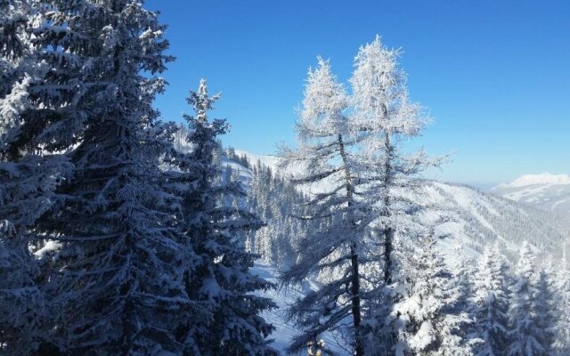 Schwaiger Appartments
