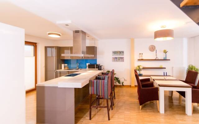 Luxury Boarding Suites
