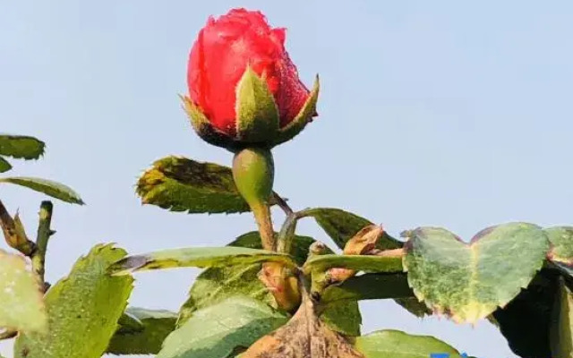 Yujingtai Hot Spring Hotel