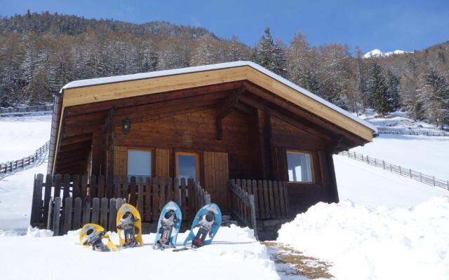 Ferienhütte Premstlhof