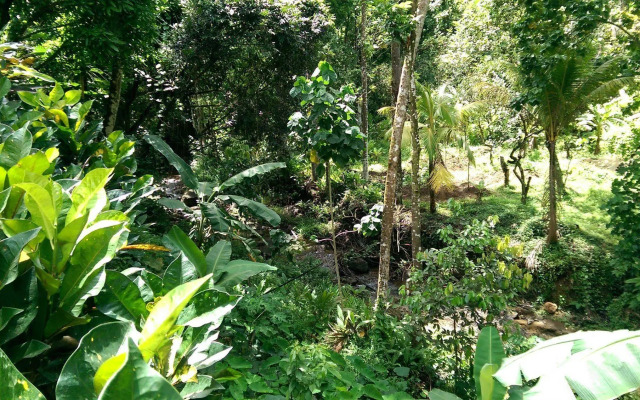 River Side House