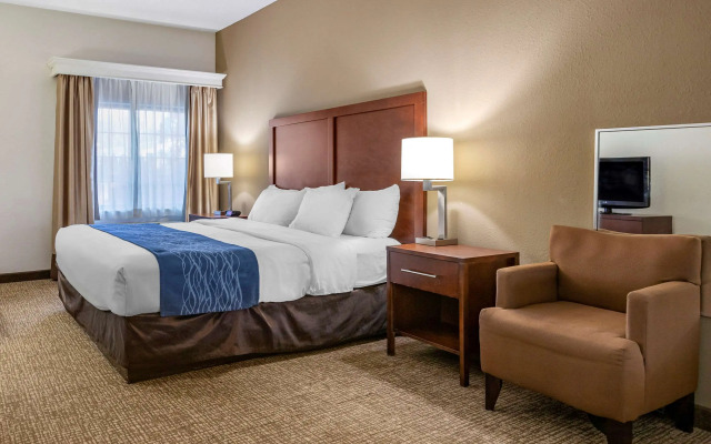 Comfort Inn Kalamazoo