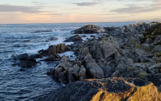 Runde Miljøsenter