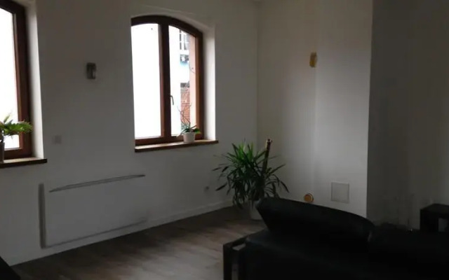 Maison contemporaine à Mittelwihr