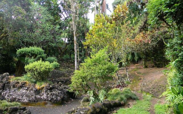 Maureens Bed and Breakfast