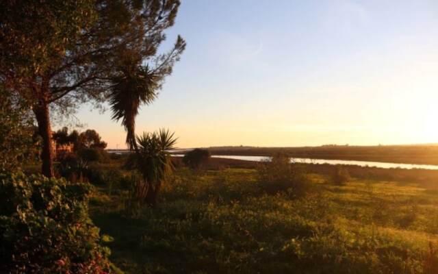 Akivillas Tavira Pine