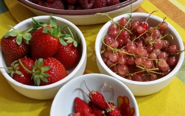 Il Ghiro Bed & Breakfast