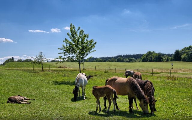 Landgasthof Zum Schwanen