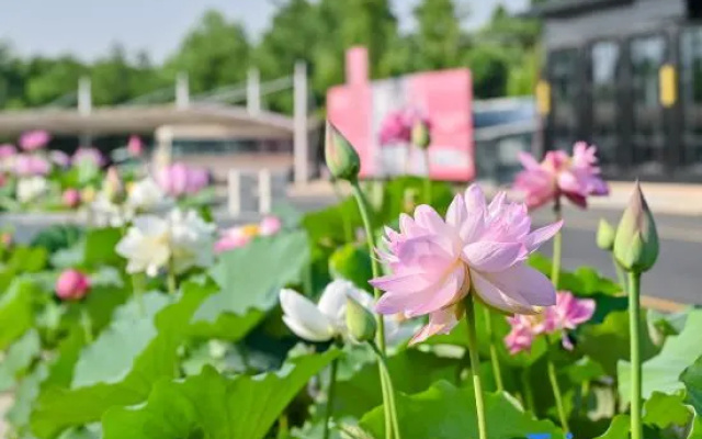 gemHotel (Xiong'an New District Rongcheng Government Affairs Center Gymnasium) – Outside – Xiongan