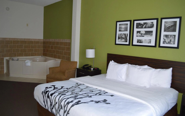 Sleep Inn & Suites Virginia Horse Center