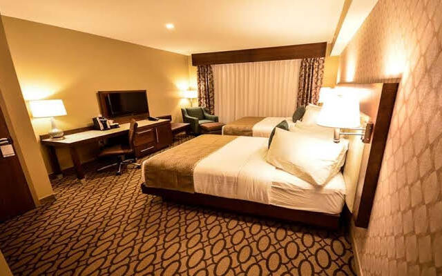 Best Western Plus St. John's Airport Hotel And Suites