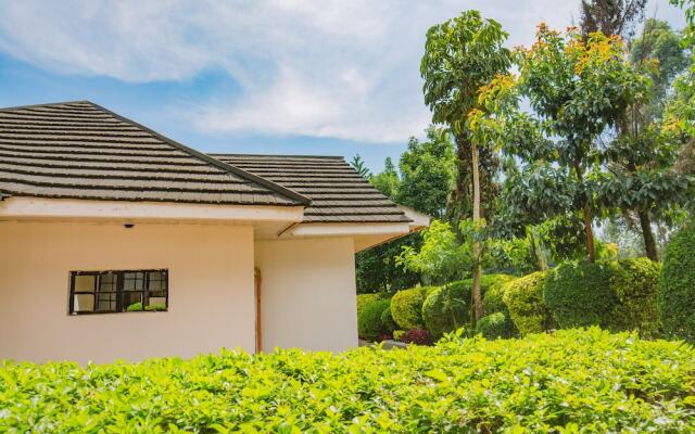 Sahara Gardens Kericho