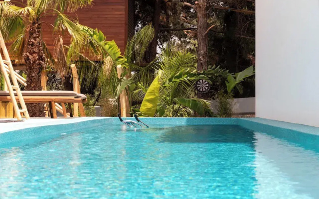 D Palm Premium Living