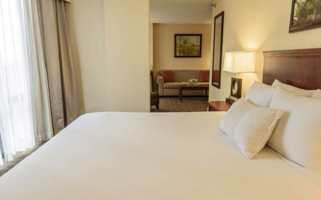 Hilton Houston Galleria Area