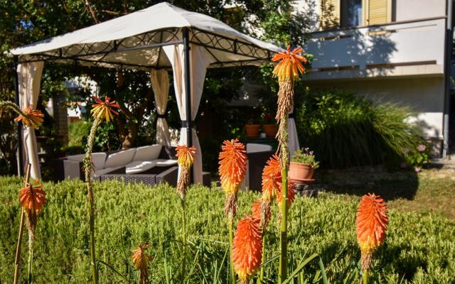 Frane - With Garden - A1