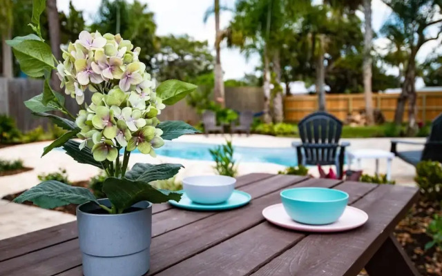 The Island Oasis