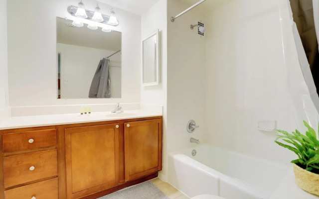 Comfortable Apt in Crystal City