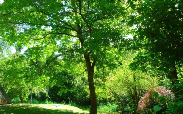 Quaint Holiday Home in Riudaura With Shared Pool