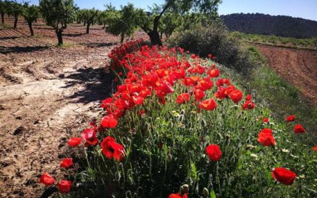 Cortijo Los Soledad