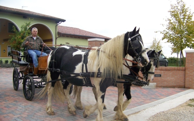 Agriturismo Nonna Rina