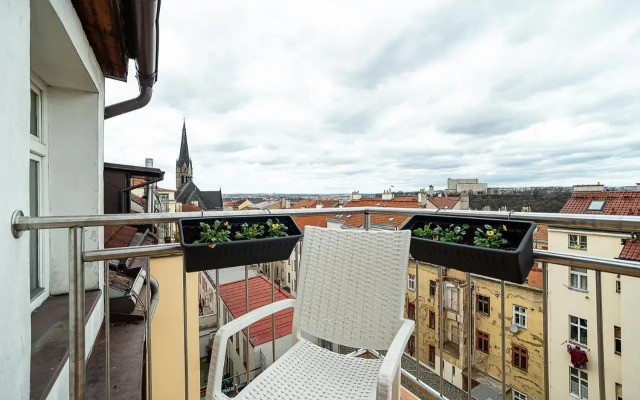 Big 4-bedroom flat, terrace with great Vítkov view
