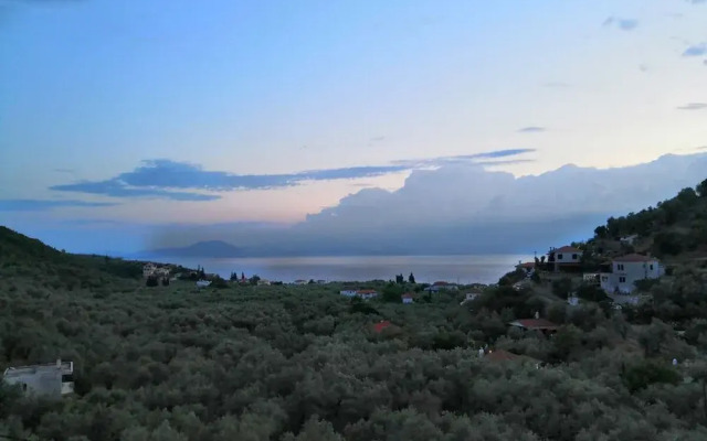 Luxury Mansion in Pelion Hills