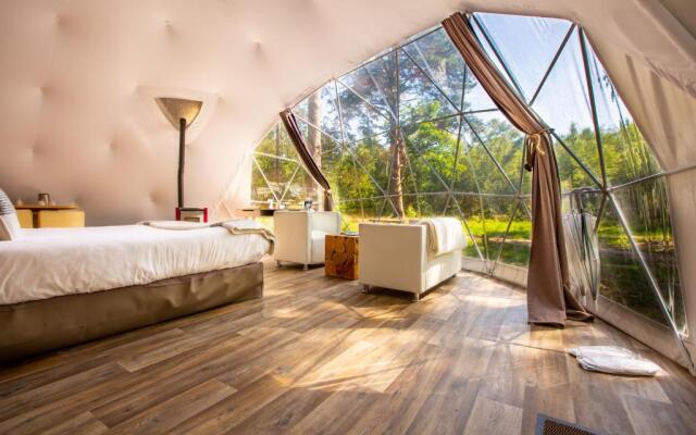 Gites Insolites de Sologne